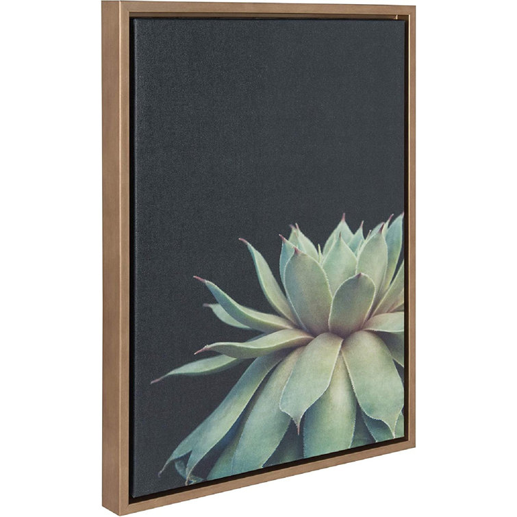 Dakota Fields Black Background Botanical Green Framed On Canvas Print